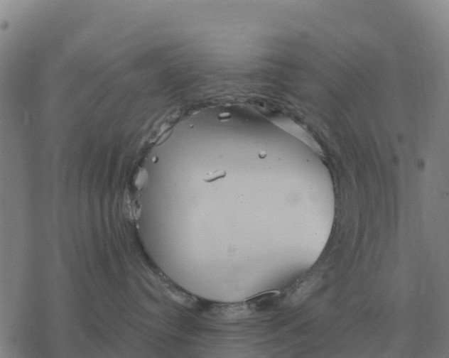 X0000076430384200610271739