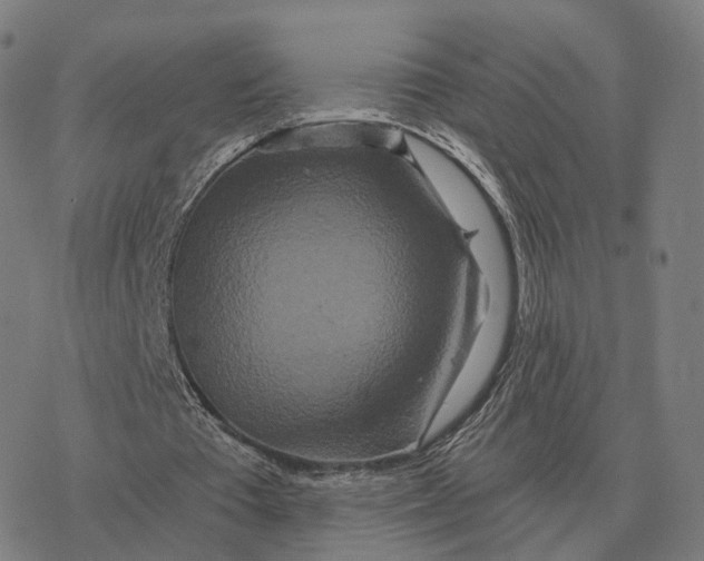 X0000076430385200610271739