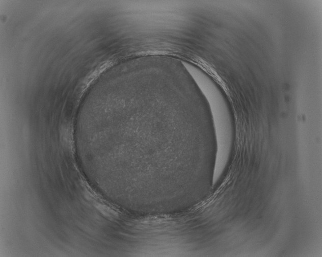 X0000076430386200610271739