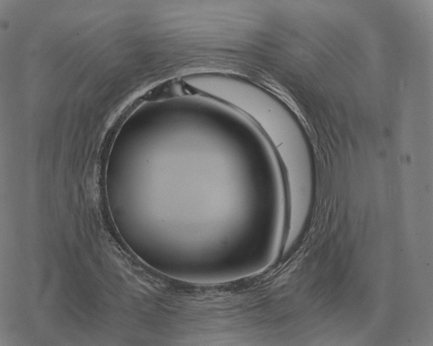 X0000076430387200610271738