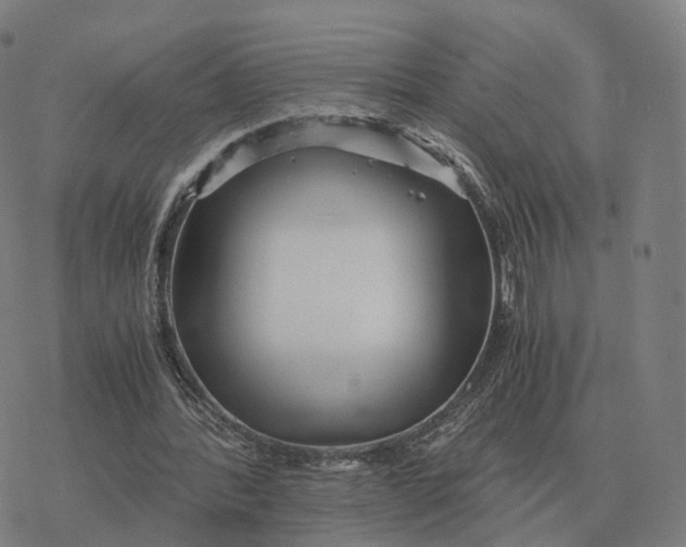 X0000076430388200610271738