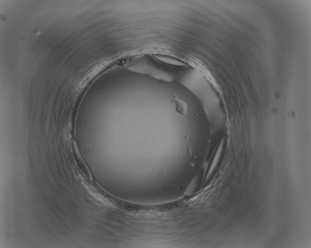 X0000076430389200610271738