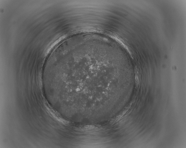 X0000076430390200610271738