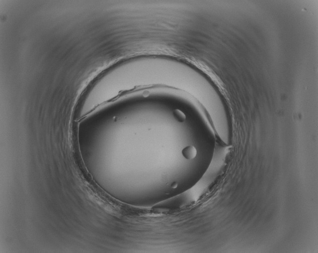 X0000076430391200610271738