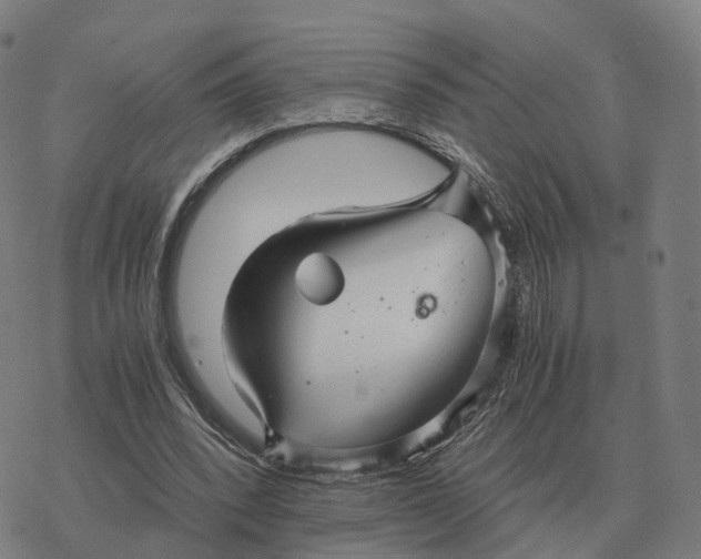 X0000076430392200610271738