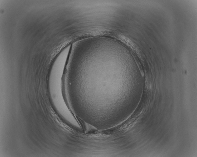 X0000076430393200610271738