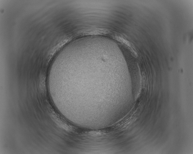 X0000076430394200610271738