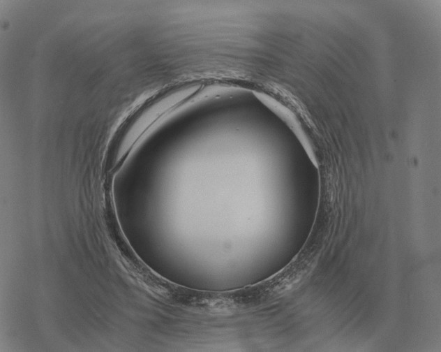 X0000076430395200610271738