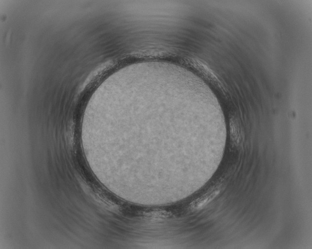 X0000076430396200610271738