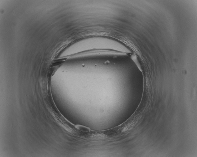 X0000076430397200610271738