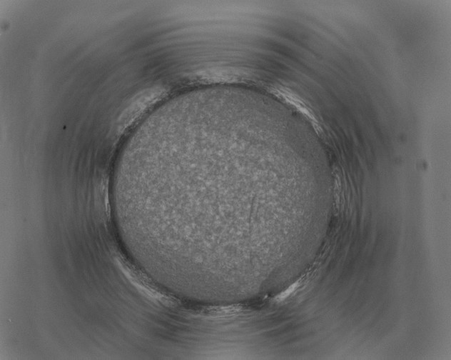 X0000076430398200610271738