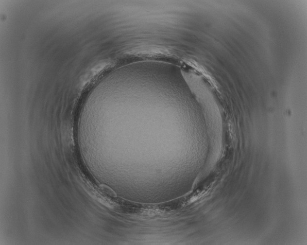 X0000076430399200610271738