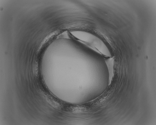 X0000076430400200610271738