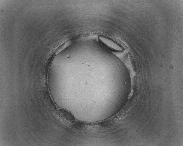 X0000076430401200610271738