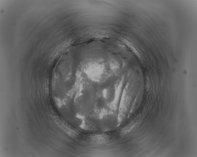 X0000076430402200610271738