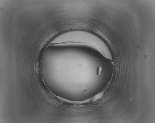 X0000076430403200610271738