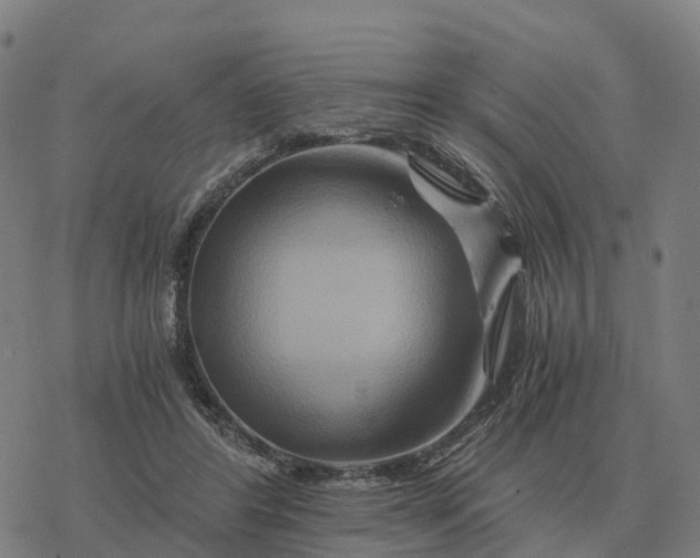 X0000076430404200610271738