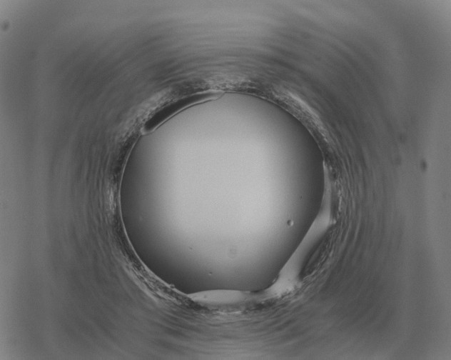 X0000076430405200610271738