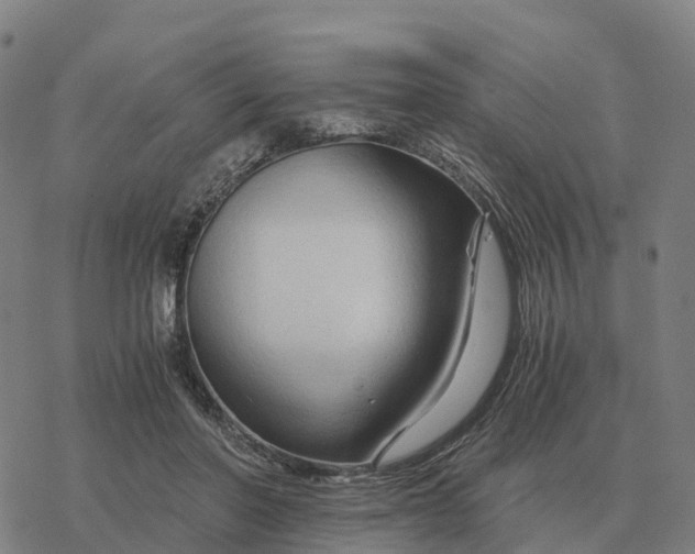 X0000076430406200610271738