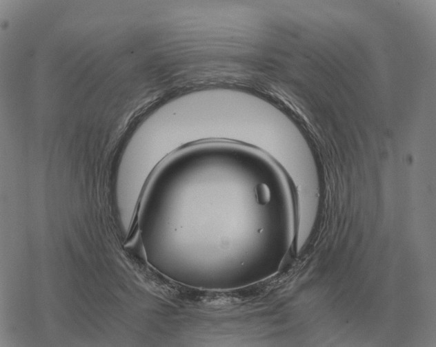 X0000076430407200610271738