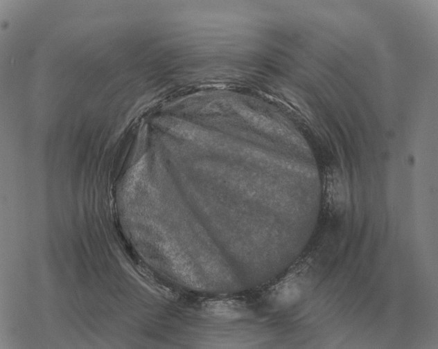 X0000076430408200610271738