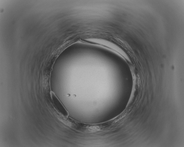 X0000076430409200610271738