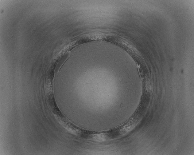 X0000076430411200610271738