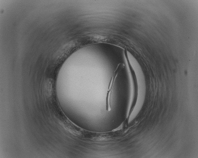 X0000076430412200610271738