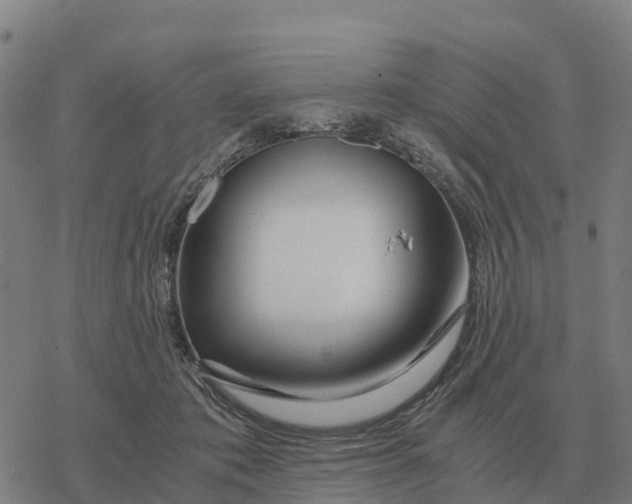 X0000076430413200610271738