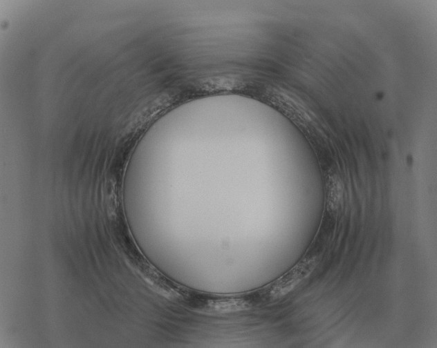 X0000076430414200610271738