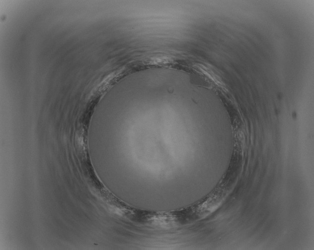 X0000076430415200610271738