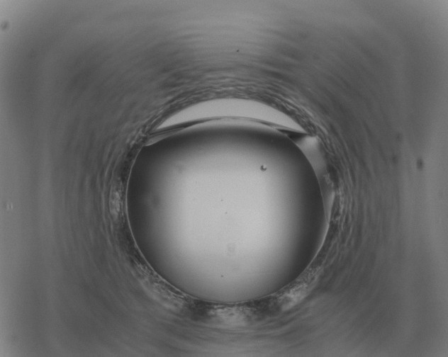 X0000076430417200610271738