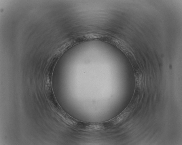 X0000076430418200610271738