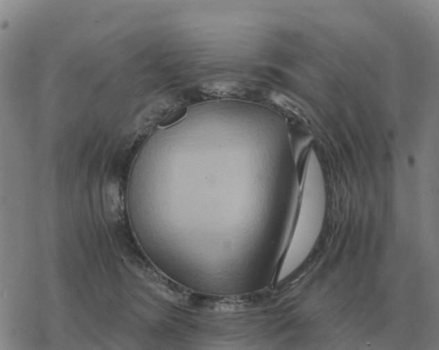 X0000076430420200610271738