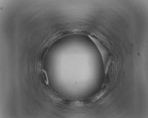 X0000076430421200610271738