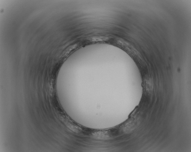 X0000076430422200610271738