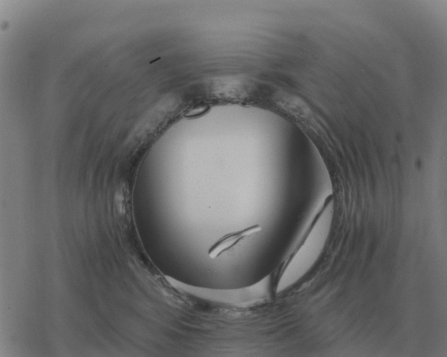 X0000076430424200610271738