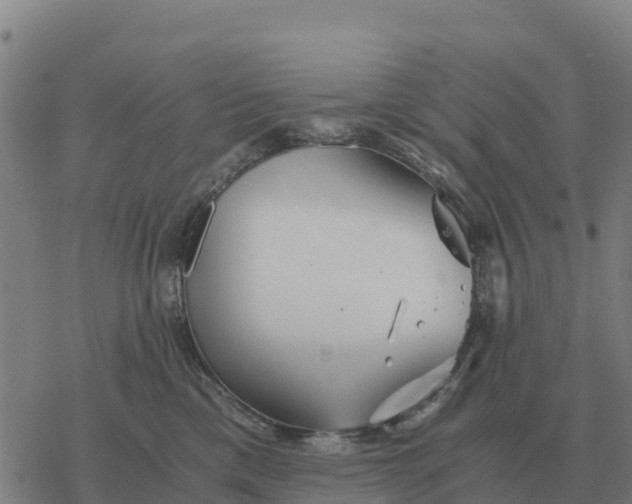 X0000076430425200610271738