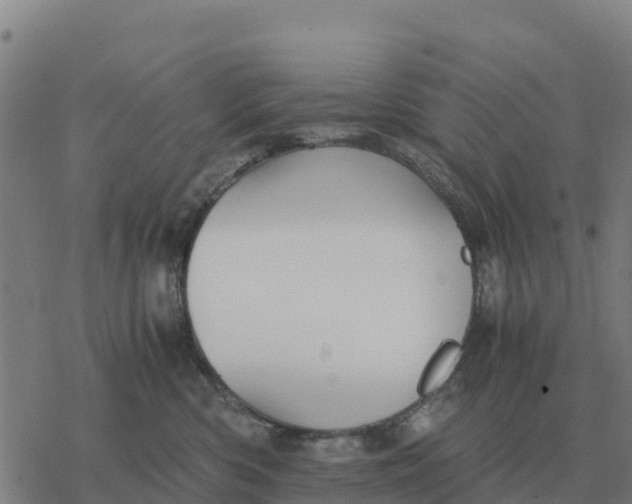 X0000076430426200610271738