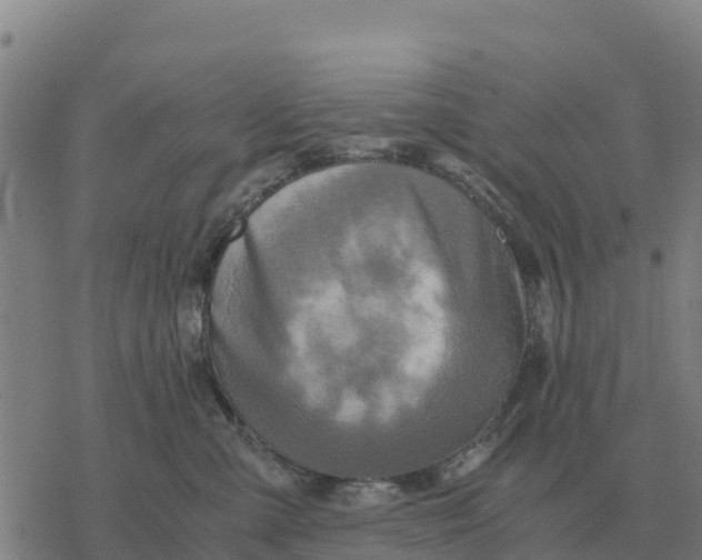 X0000076430427200610271738