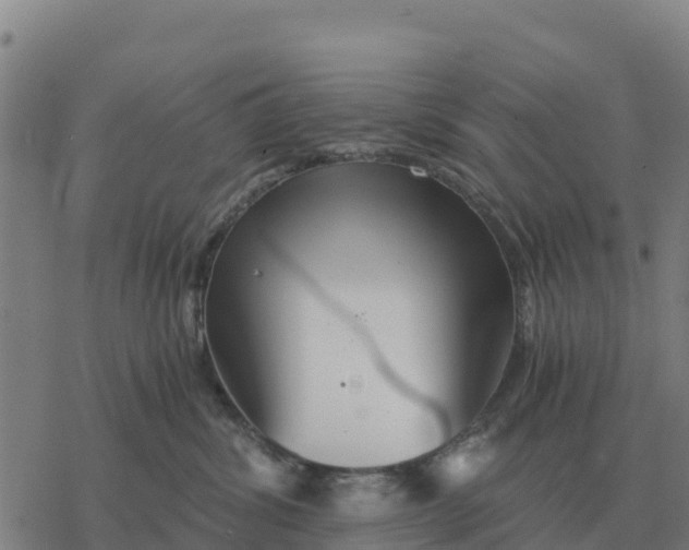 X0000076430428200610271738