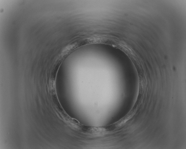 X0000076430429200610271738