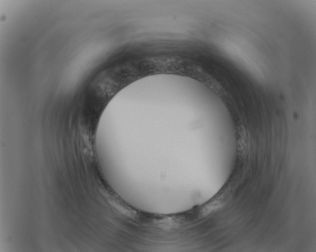 X0000076430430200610271738