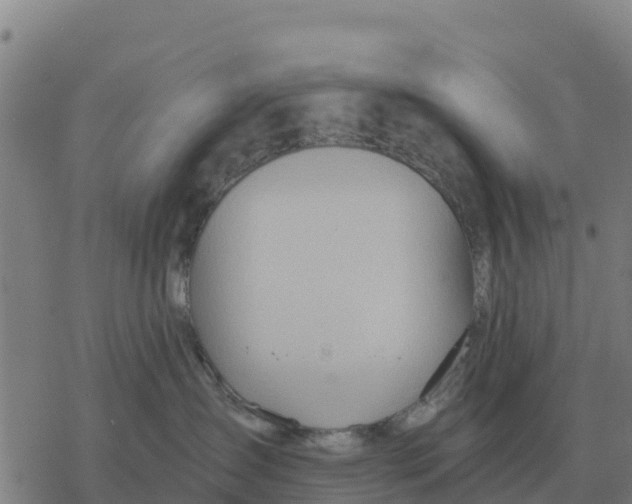 X0000076430431200610271738