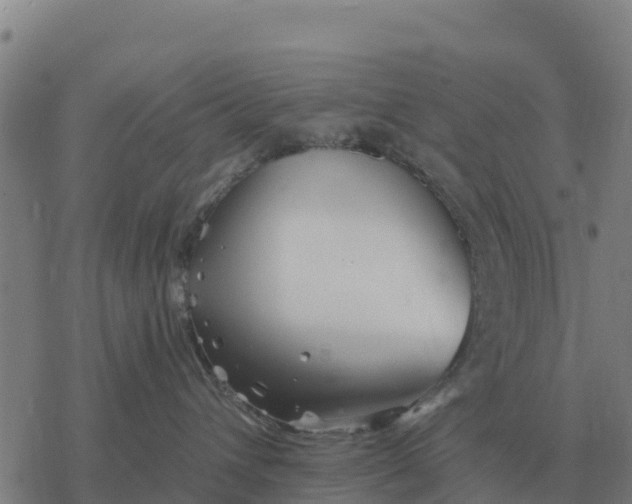 X0000076430432200610271738