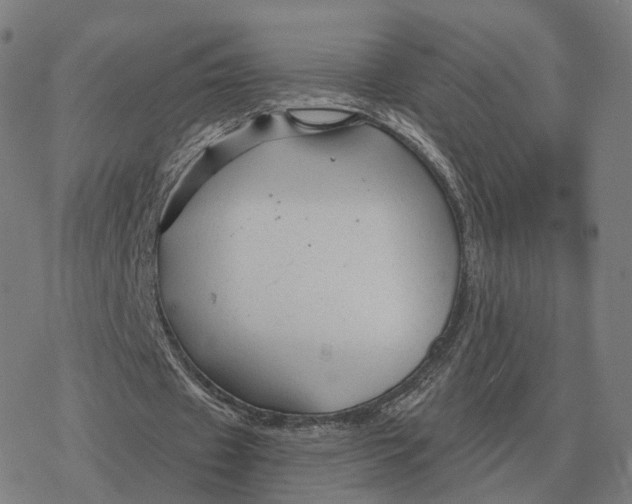 X0000076430433200610271737