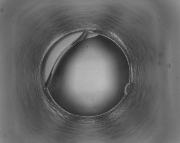 X0000076430435200610271737