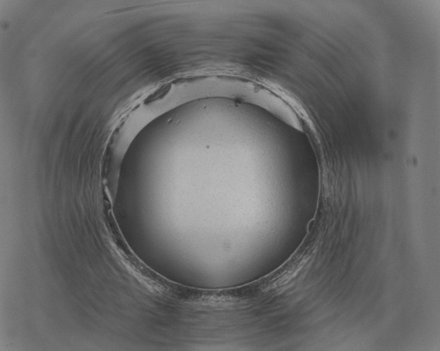 X0000076430437200610271737