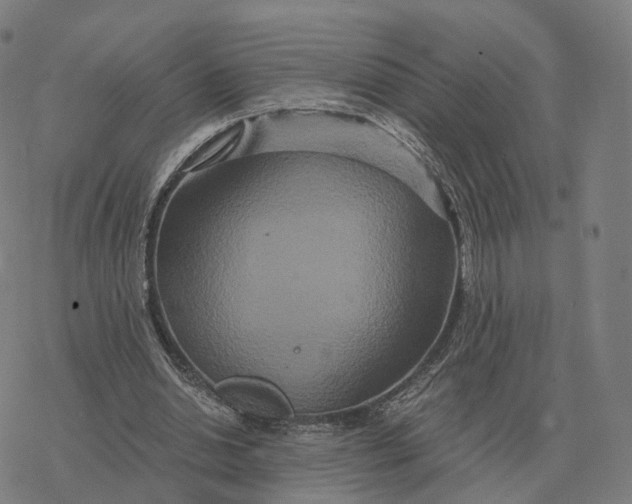 X0000076430438200610271737