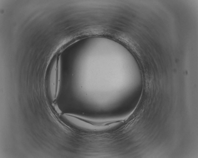 X0000076430439200610271737